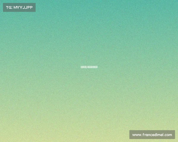 辽篮赛事,辽篮赛事时间表